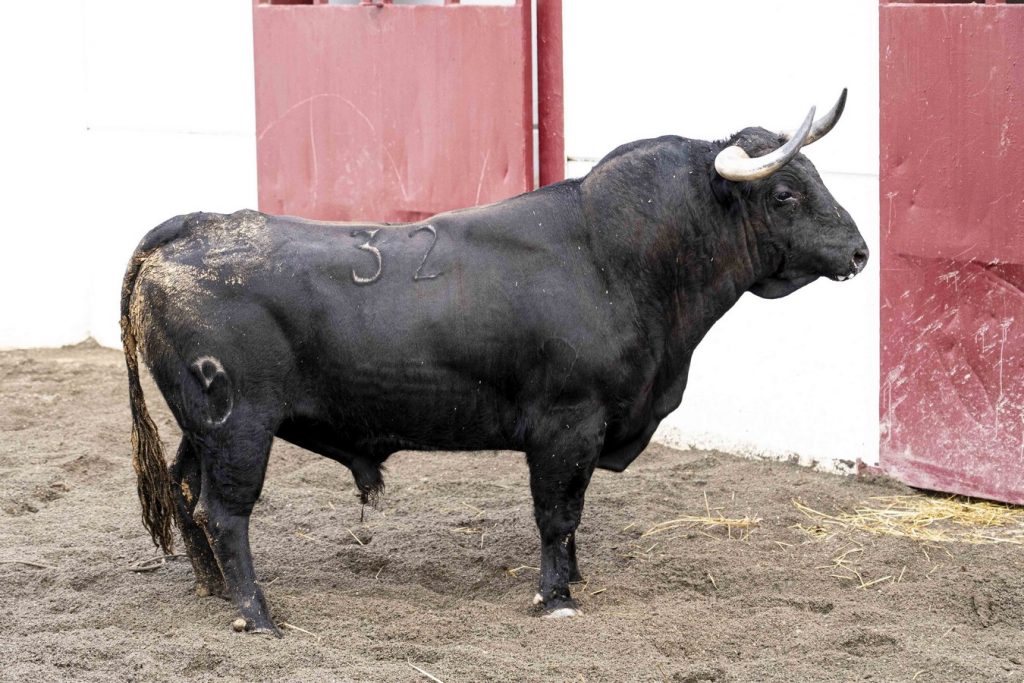 Los toros de Victoriano del Río para Málaga