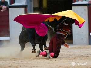 Importante tarde de la terna en Madrid