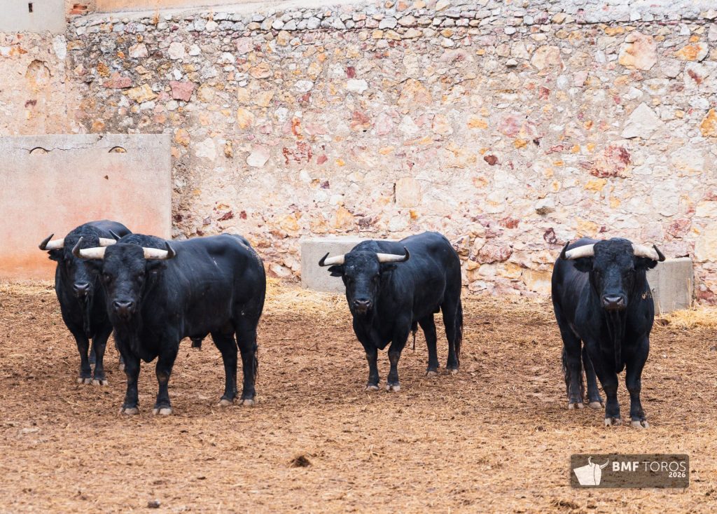 Sorteados los de Garcigrande