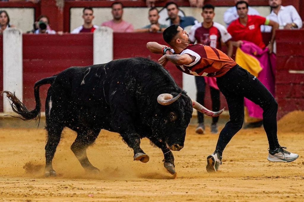 Entradón en Valladolid para el concurso de cortes