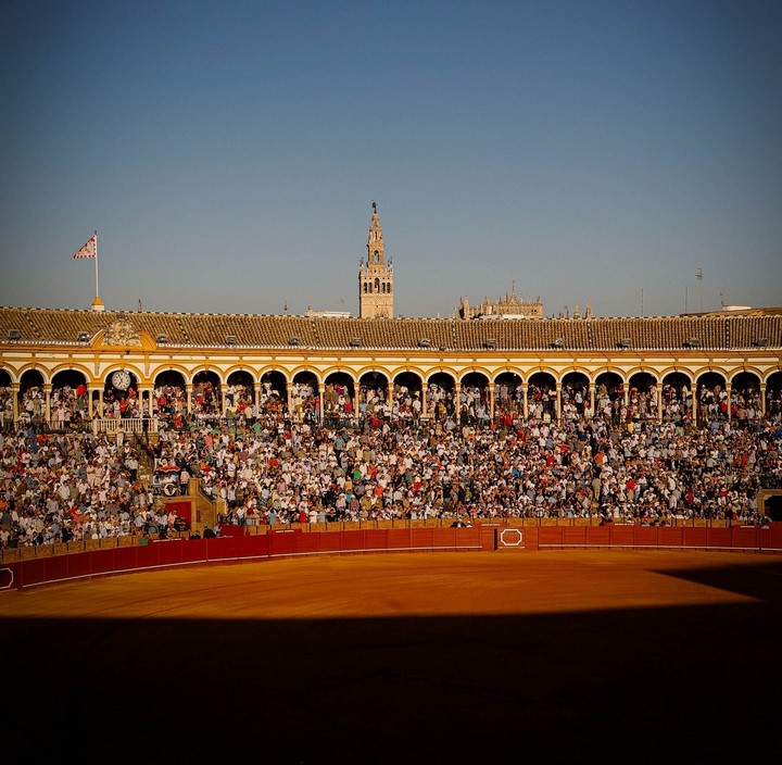Canal Sur retransmitirá la Feria de San Miguel de Sevilla