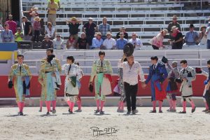 Dos orejas en la novillada matinal de Arles