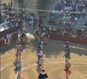 Novillada sin trofeos en Arganda del Rey