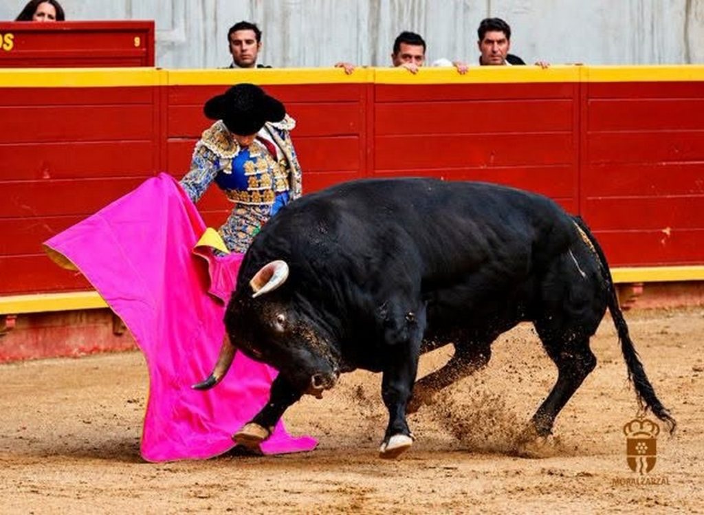 Daniel Moset, mejor faena de la Feria de Moralzarzal
