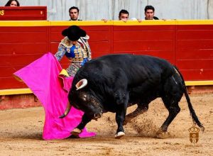 Daniel Moset, mejor faena de la Feria de Moralzarzal