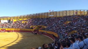 Los astados de Fermín Bohórquez para Almodóvar del Campo