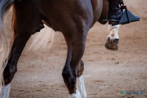 Adrián Venegas sale a hombros en El Barraco