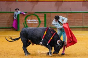 Tomás González se resiente de la grave cornada de Arganda