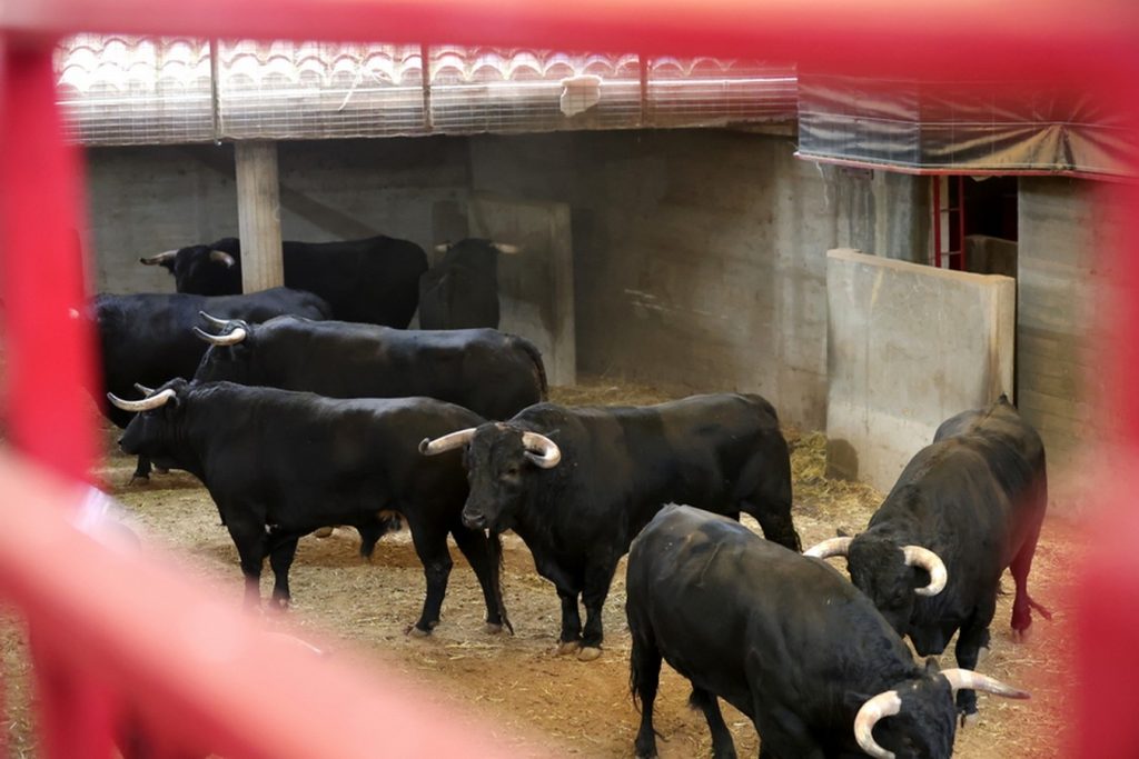 Orden de lidia para la corrida de rejones de Zaragoza