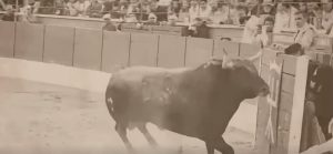 La Feria del Aficionado 2027 ya tiene fechas