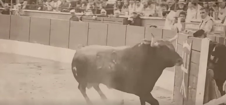 La Feria del Aficionado 2027 ya tiene fechas