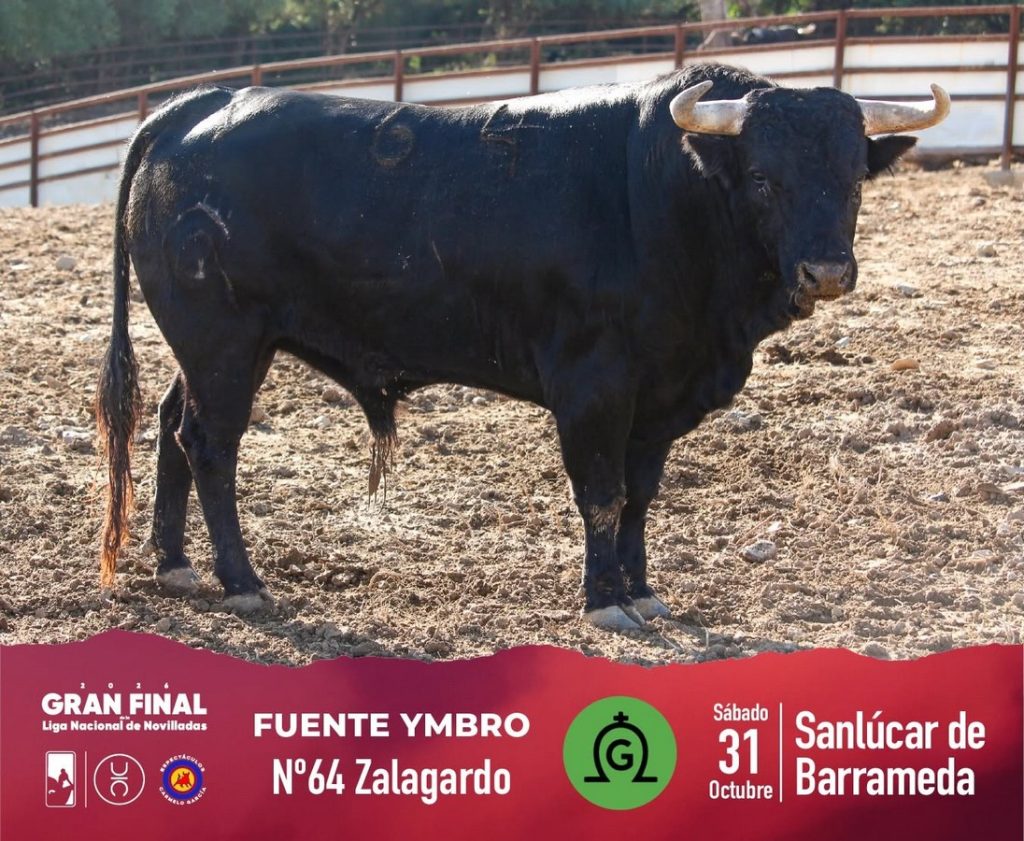 Los novillos de Fuente Ymbro para Sanlúcar de Barrameda