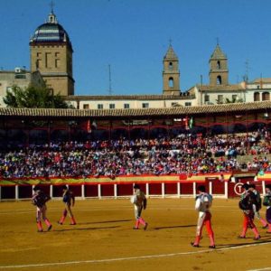 Los toros de Fermín Bohórquez para hoy en Úbeda
