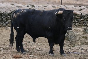 Seriedad de El Parralejo para la segunda cita de Jaén